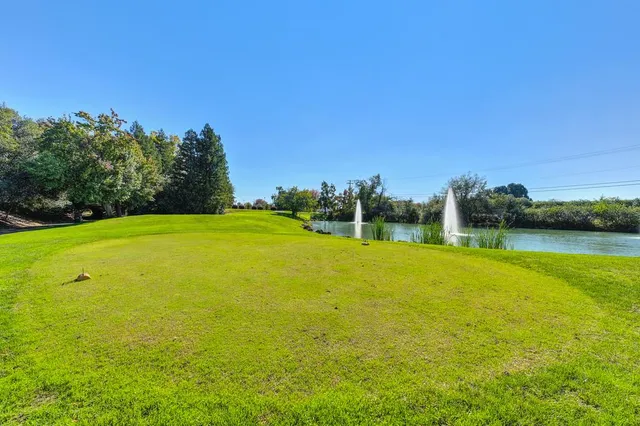 a view of a large trees with lawn in front of it