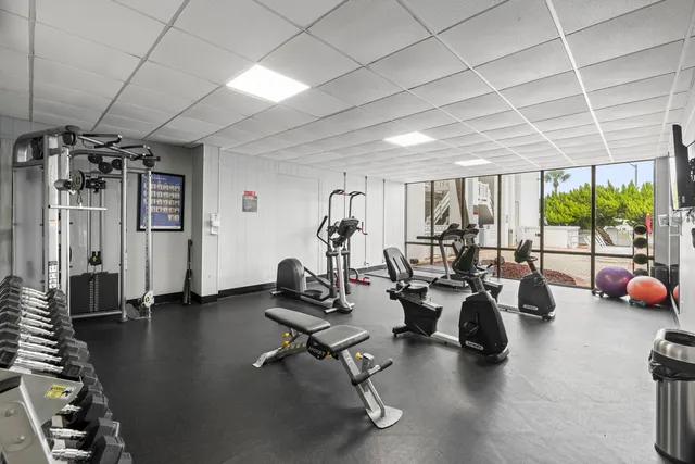 a view of beach and ocean