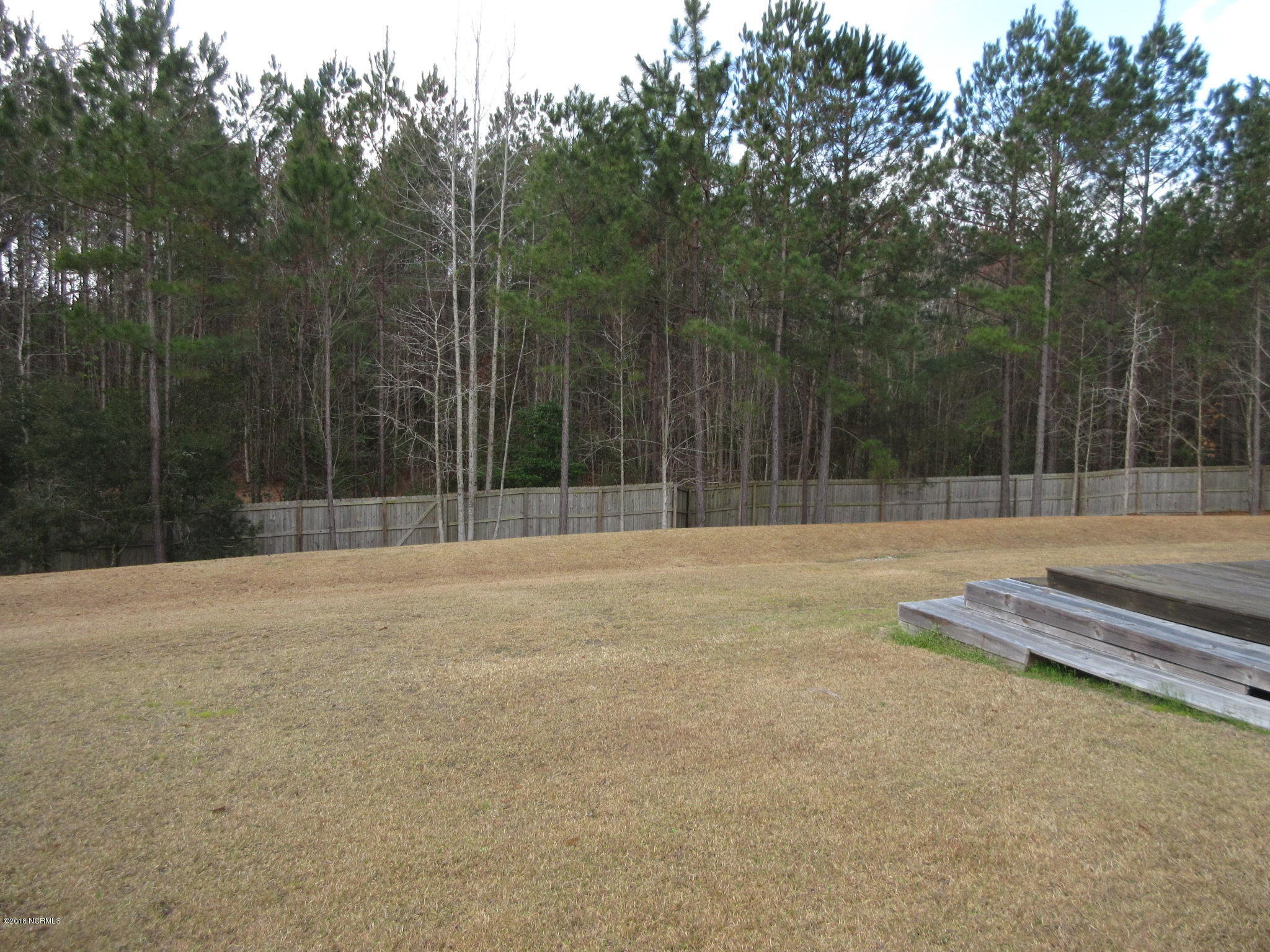 300 First Post Road Jacksonville, NC 28546 - Photo 34 of 36 300 First Post Rd - Yard 1
