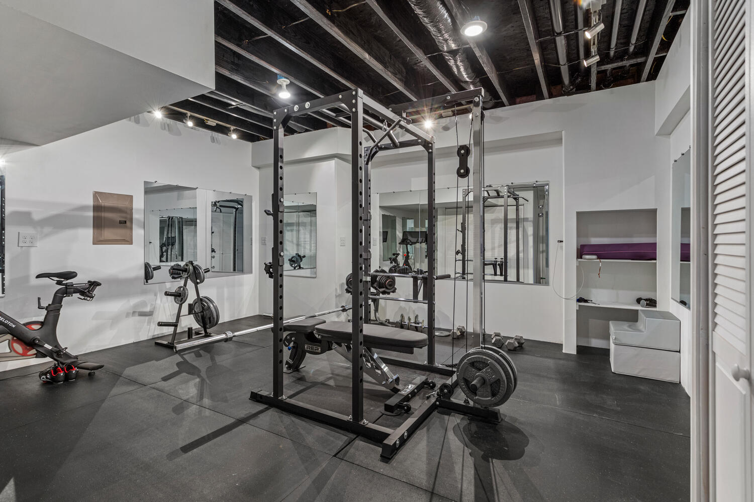 1621 English Oak Drive Champaign, IL 61822 - Photo 43 of 62 a view of a room with gym equipment