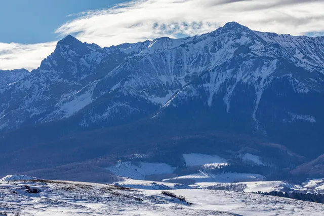 a view of a dry yard