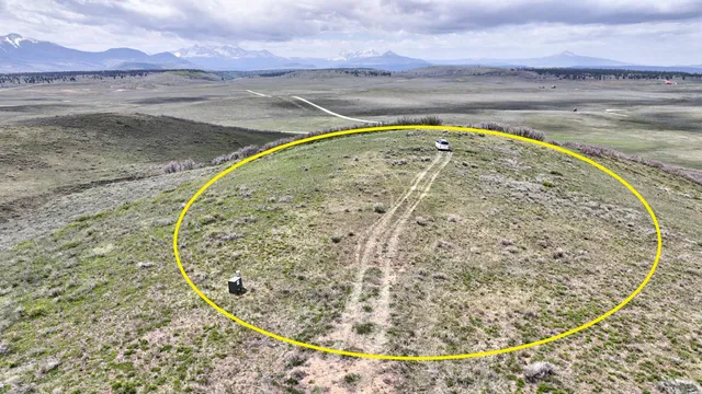 a view of swimming pool with a yard