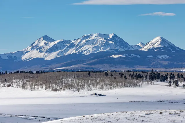 a view of a yard and a house with a lake view