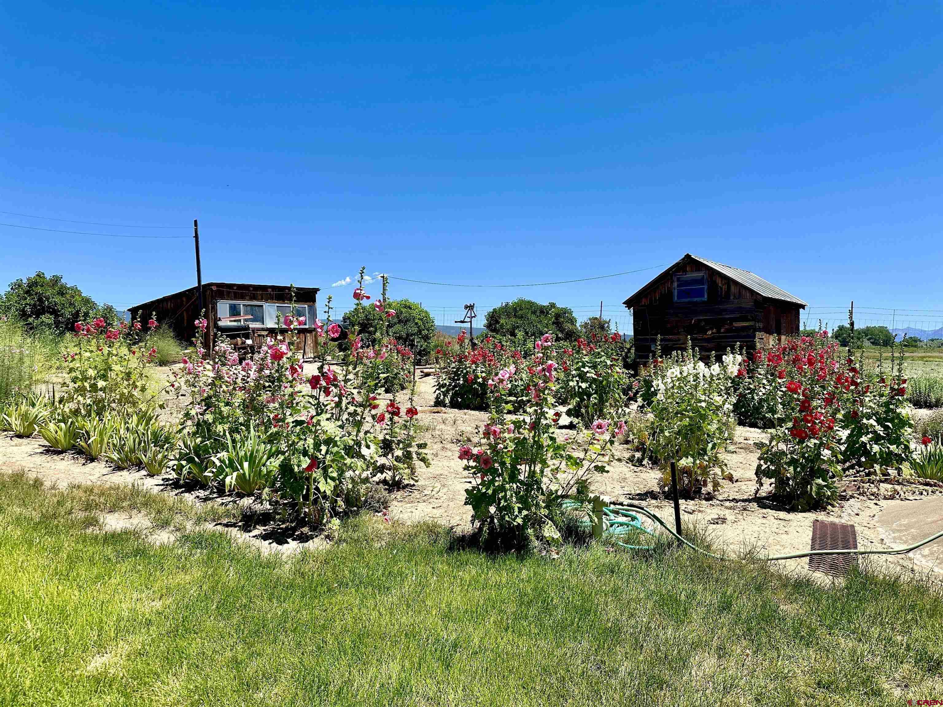 25593 North Road Hotchkiss, CO 81419 - Photo 21 of 45