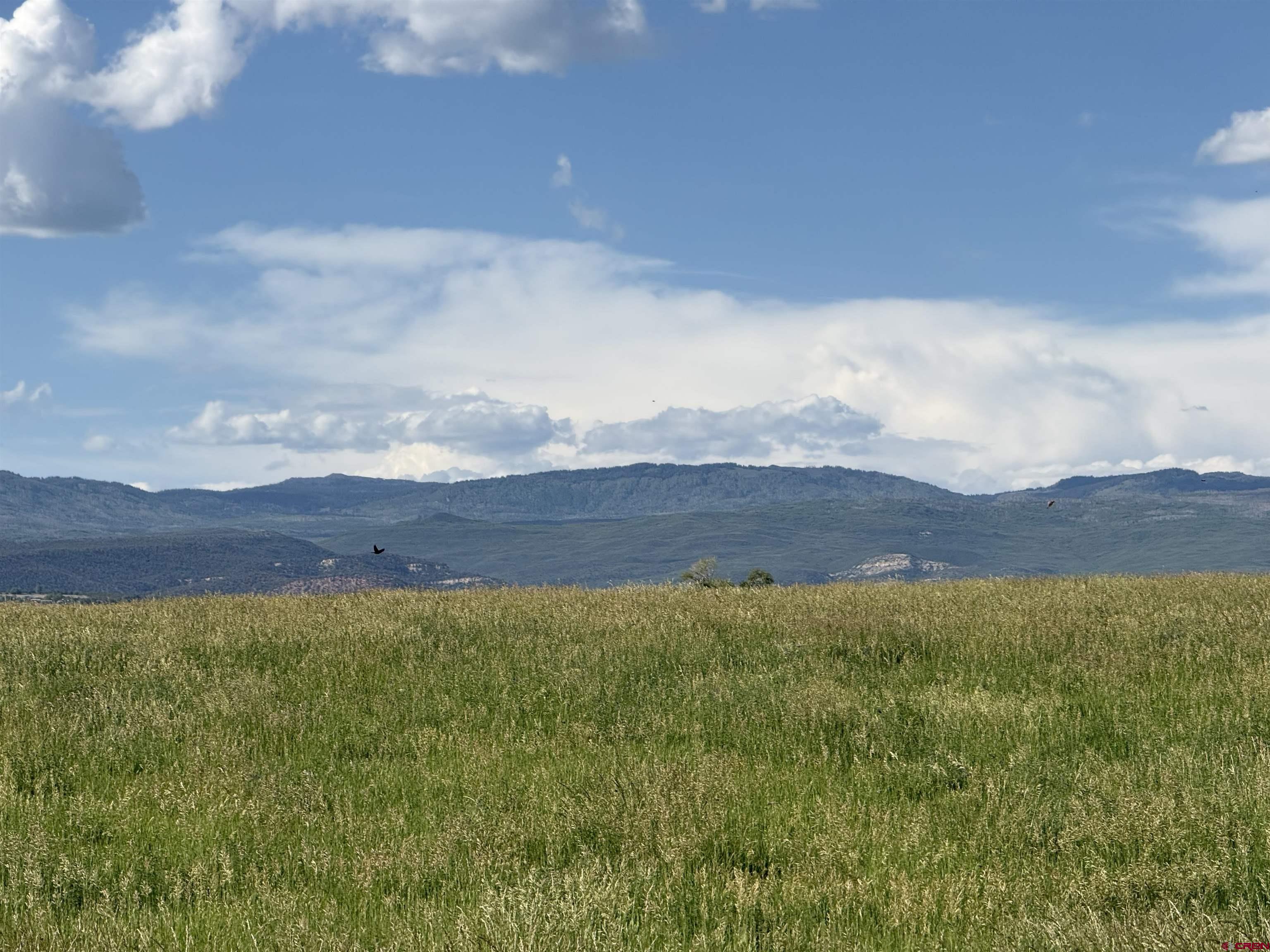 25593 North Road Hotchkiss, CO 81419 - Photo 23 of 45