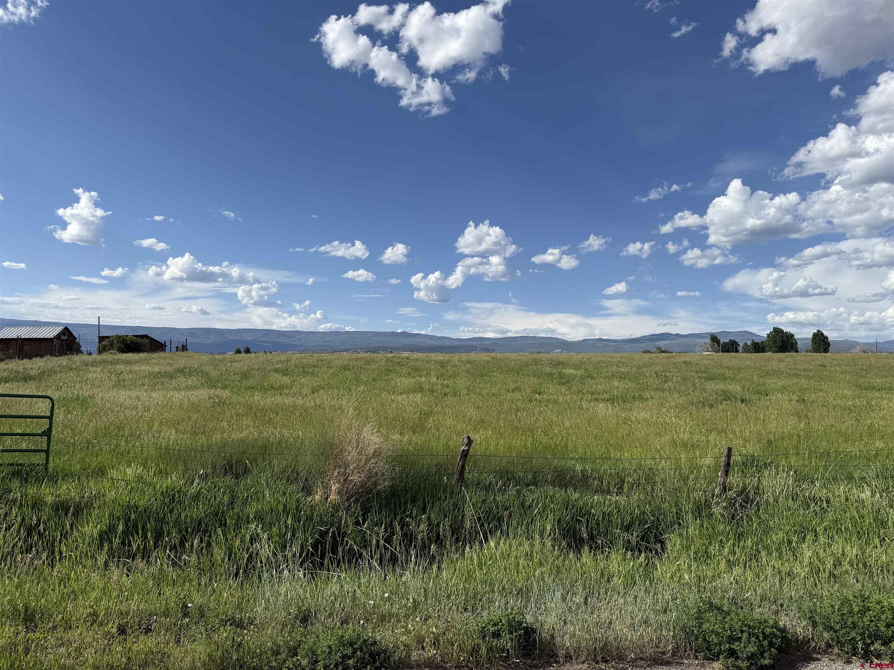 25593 North Road Hotchkiss, CO 81419 - Photo 24 of 45