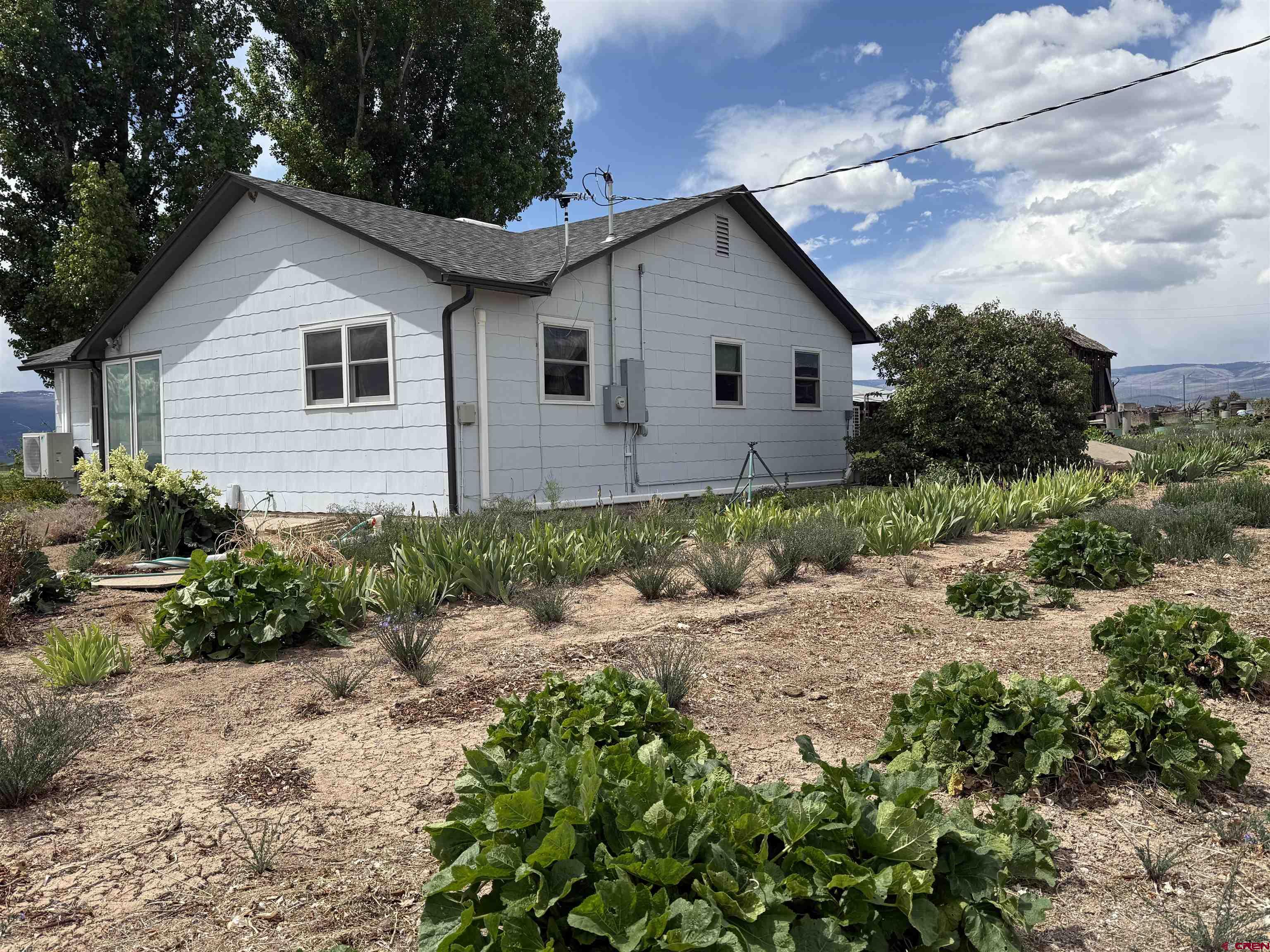 25593 North Road Hotchkiss, CO 81419 - Photo 25 of 45