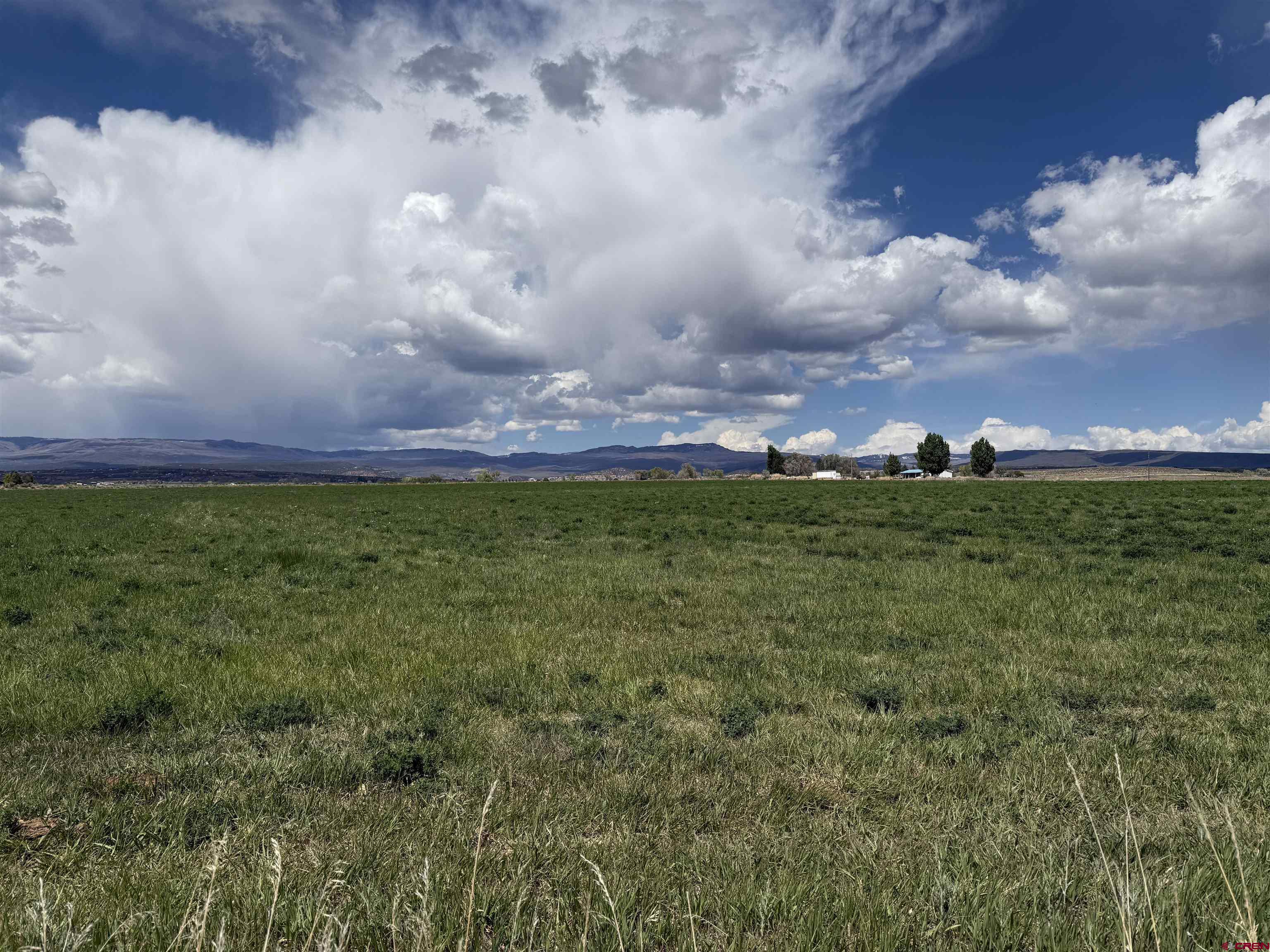 25593 North Road Hotchkiss, CO 81419 - Photo 32 of 45