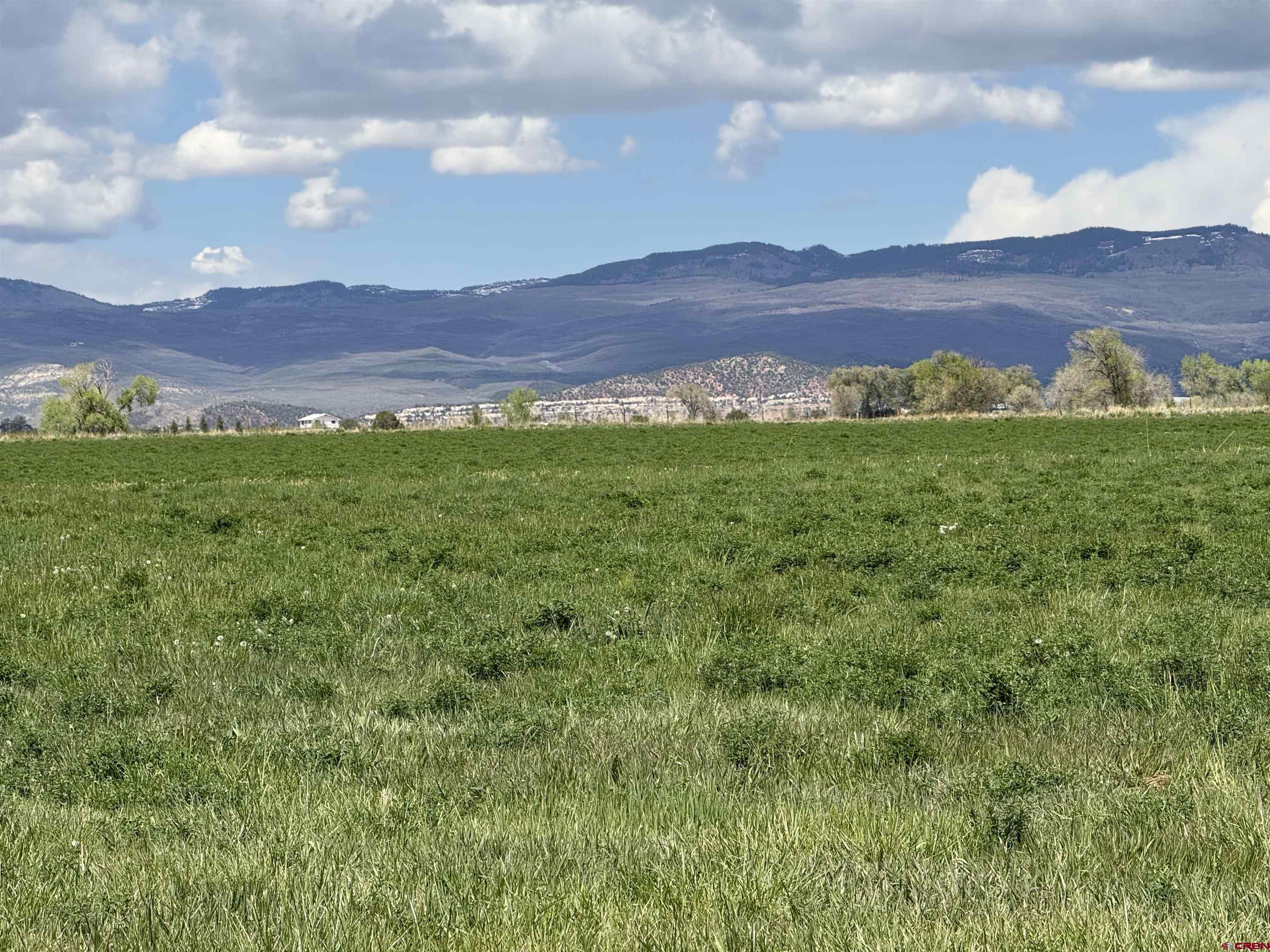 25593 North Road Hotchkiss, CO 81419 - Photo 33 of 45