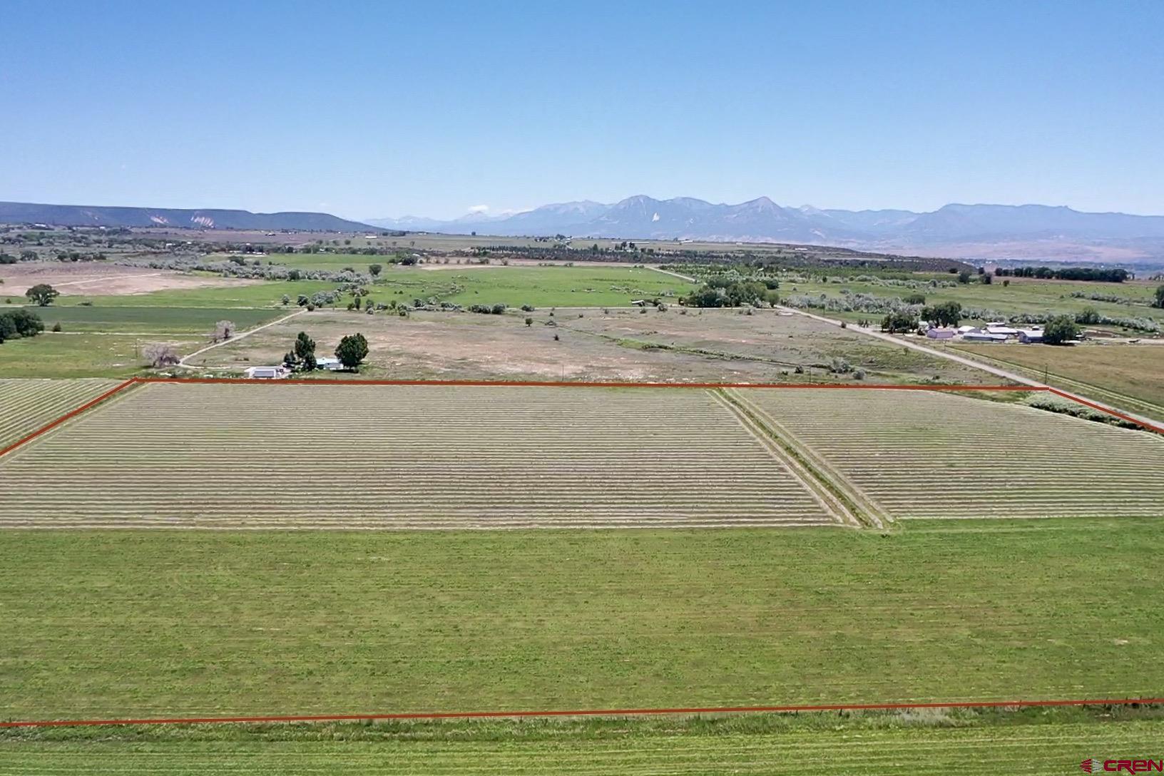 25593 North Road Hotchkiss, CO 81419 - Photo 35 of 45