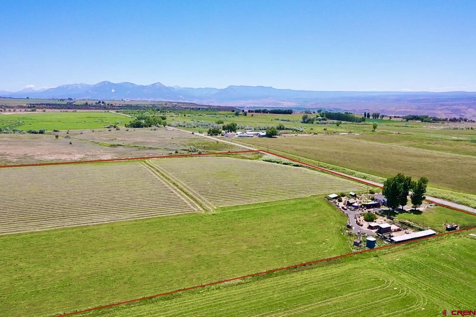 25593 North Road Hotchkiss, CO 81419 - Photo 38 of 45