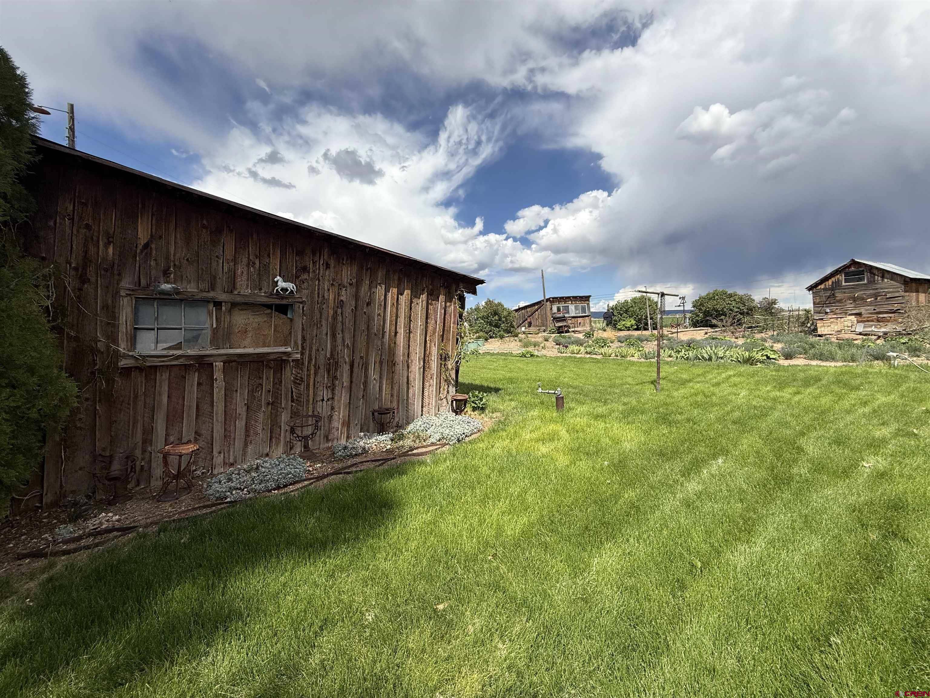 25593 North Road Hotchkiss, CO 81419 - Photo 40 of 45