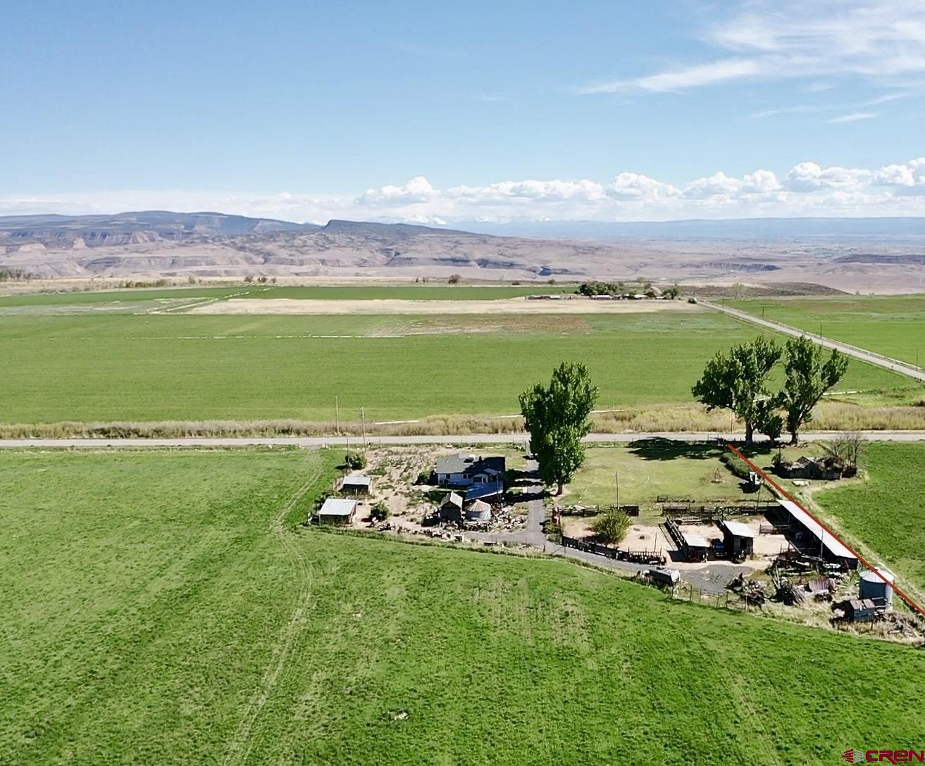 25593 North Road Hotchkiss, CO 81419 - Photo 4 of 45