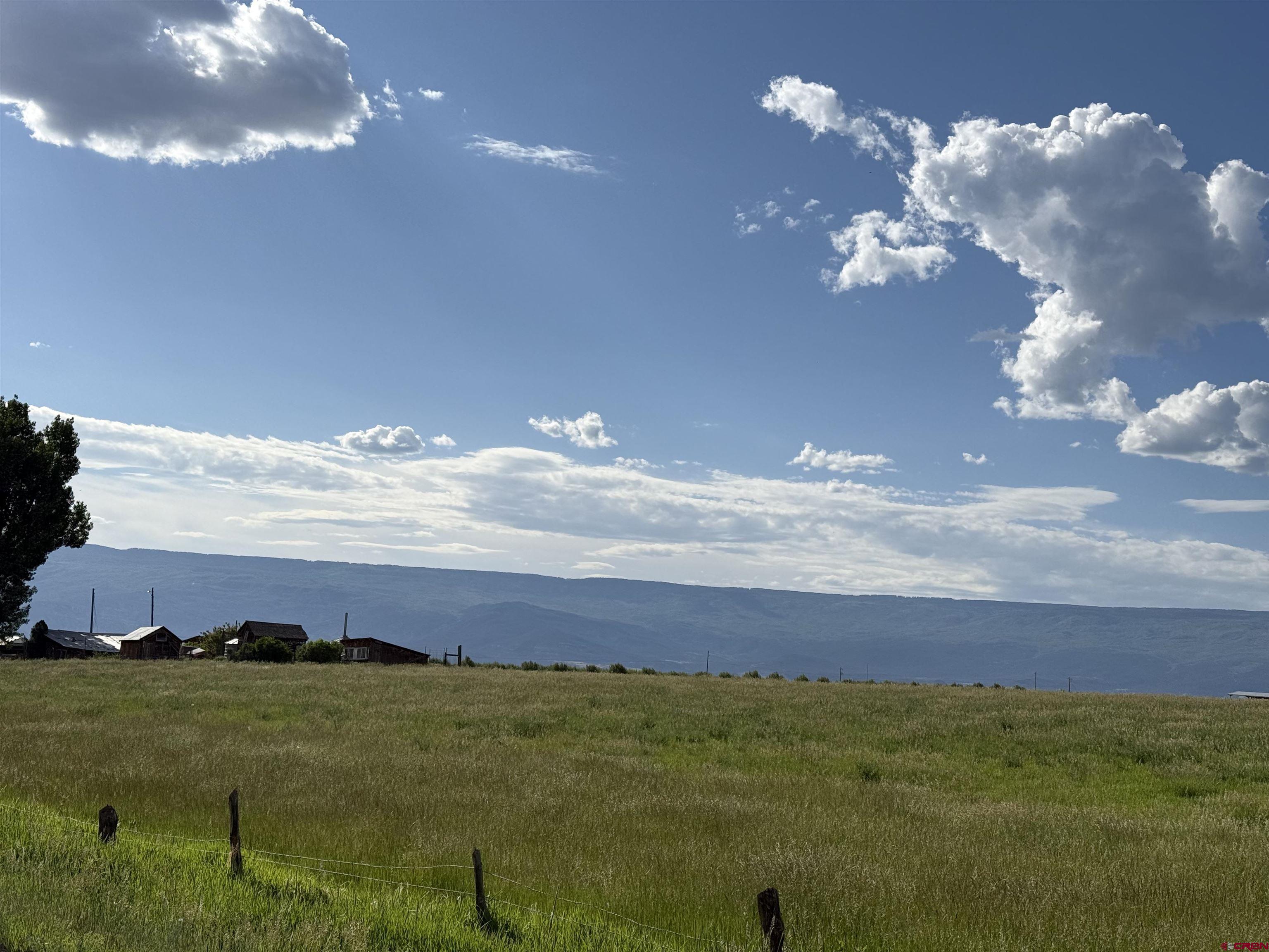 25593 North Road Hotchkiss, CO 81419 - Photo 41 of 45