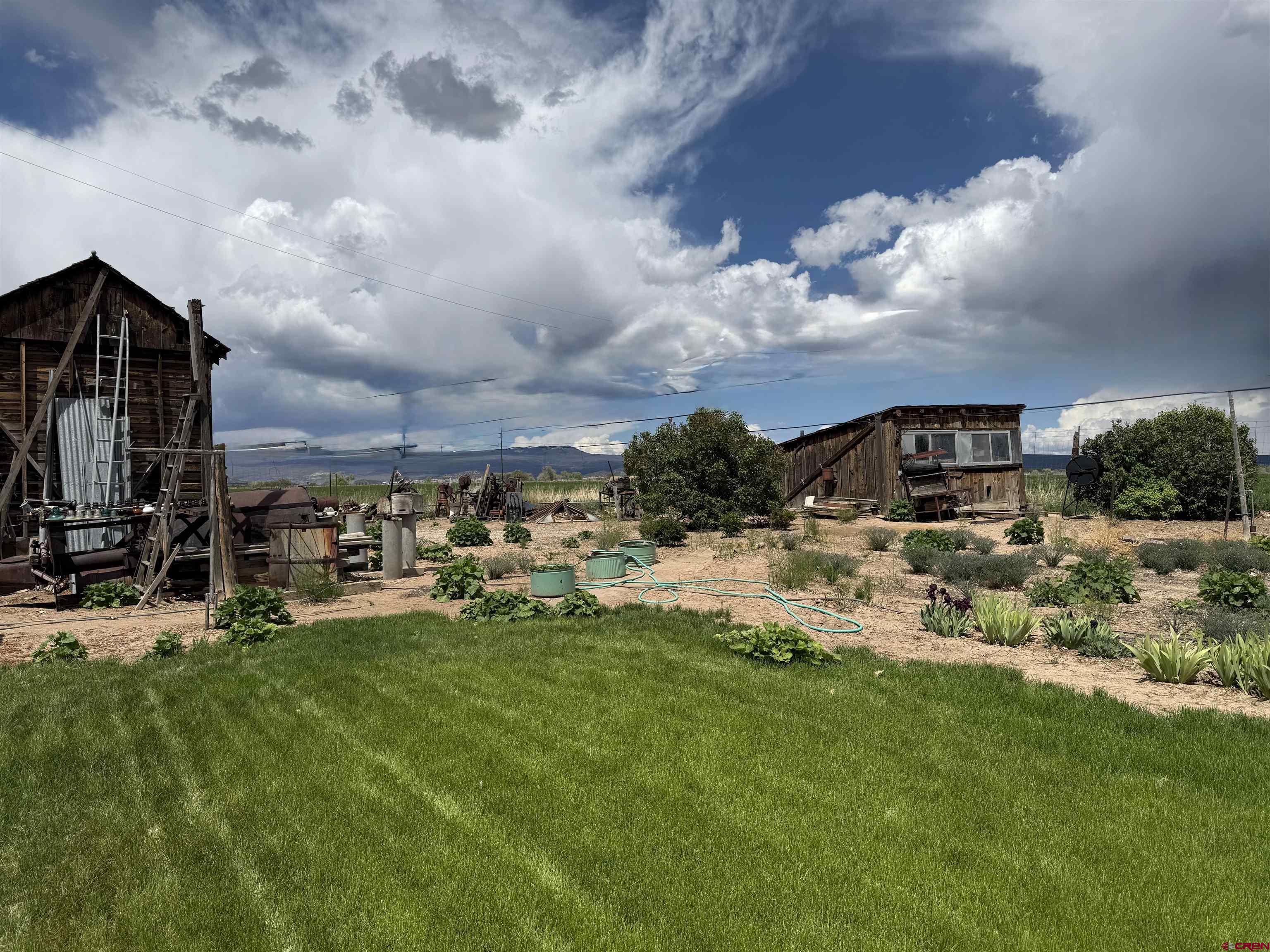 25593 North Road Hotchkiss, CO 81419 - Photo 42 of 45