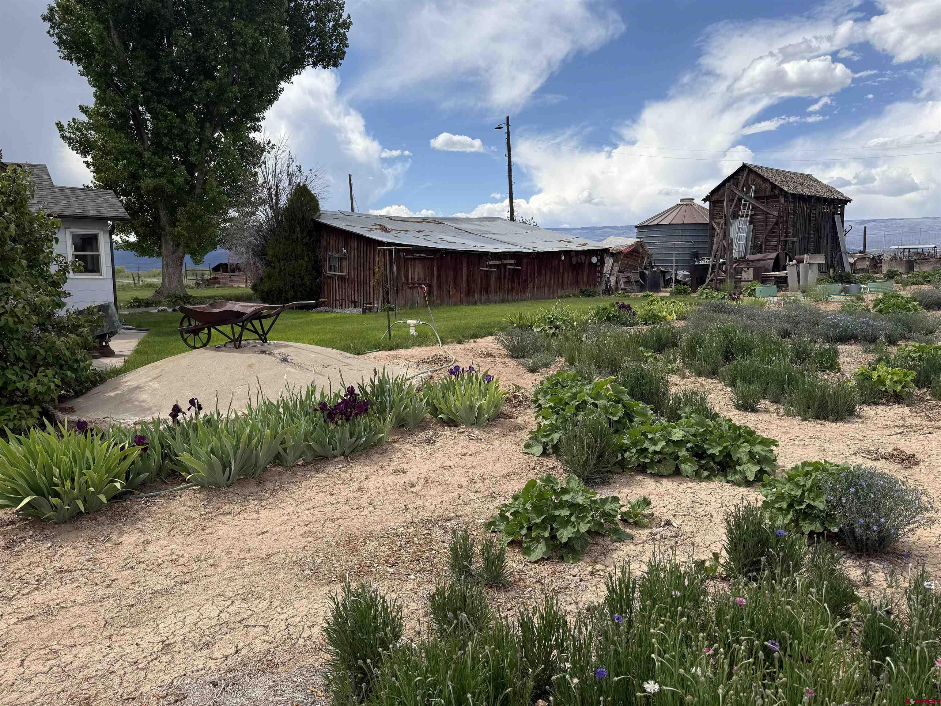 25593 North Road Hotchkiss, CO 81419 - Photo 43 of 45