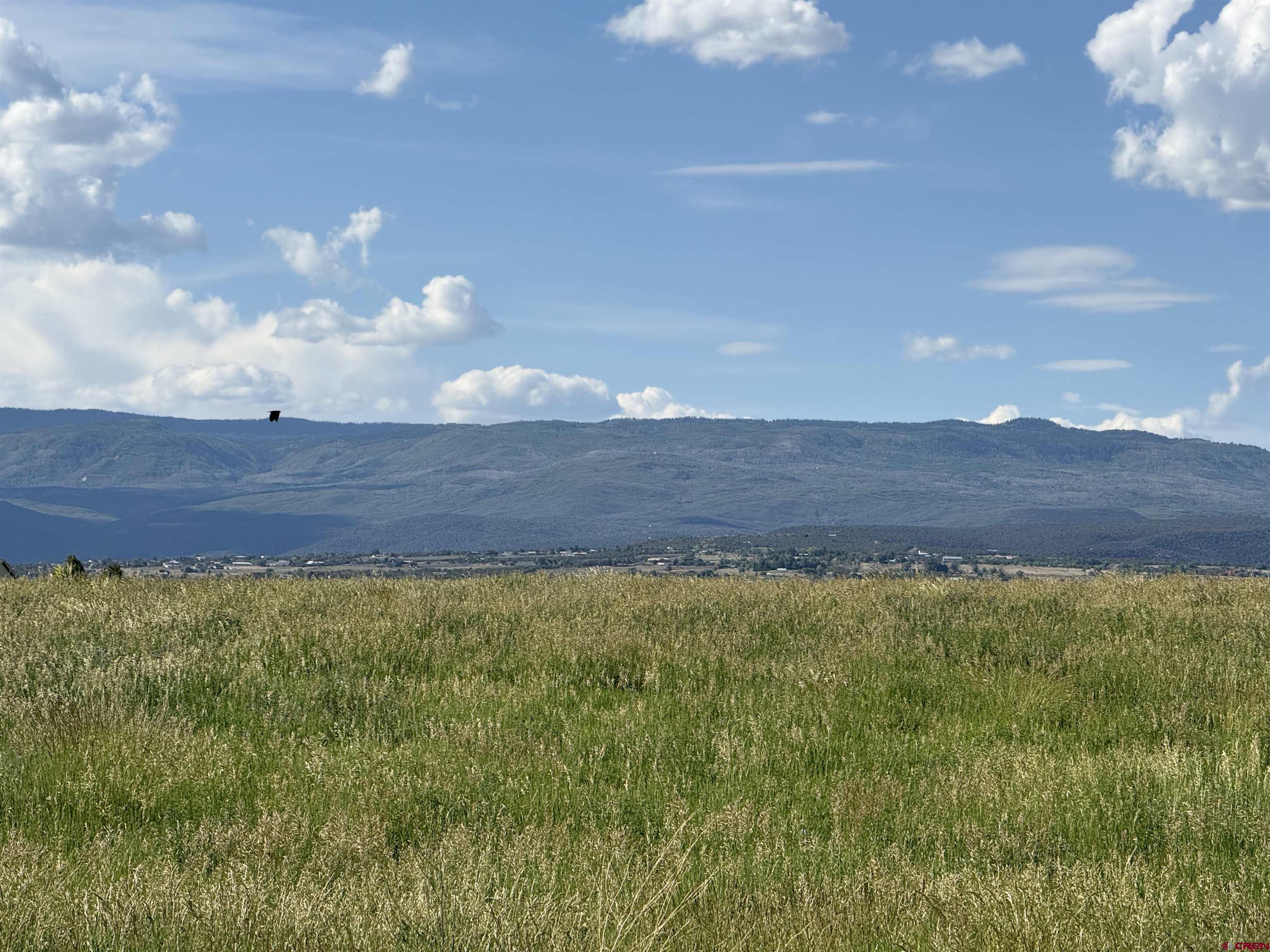 25593 North Road Hotchkiss, CO 81419 - Photo 45 of 45