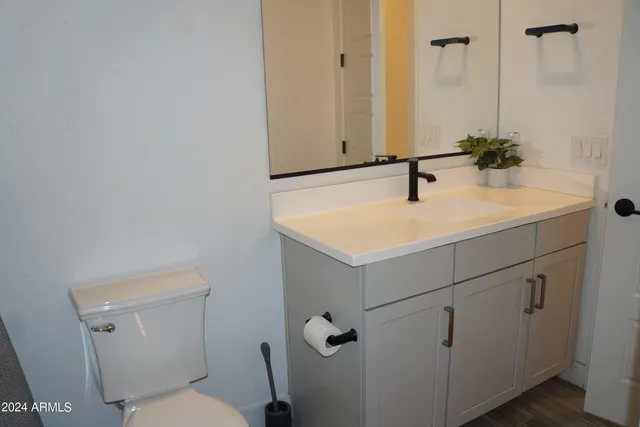 a bathroom with a sink toilet and vanity