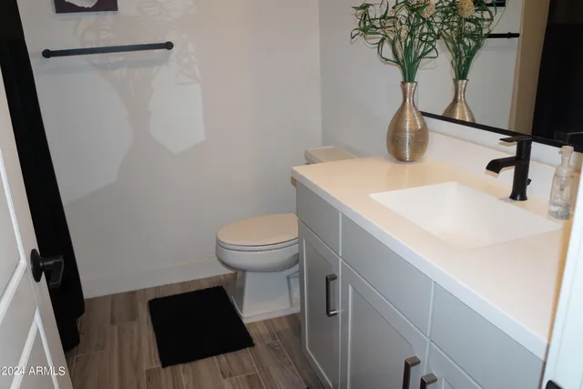 a bathroom with a sink and a toilet