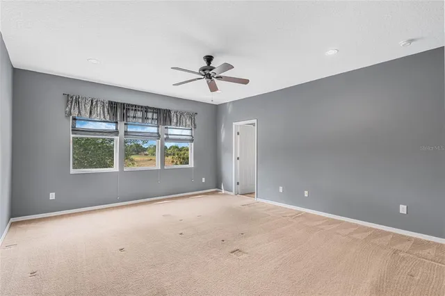 a spacious bedroom with a large bed and a potted plant