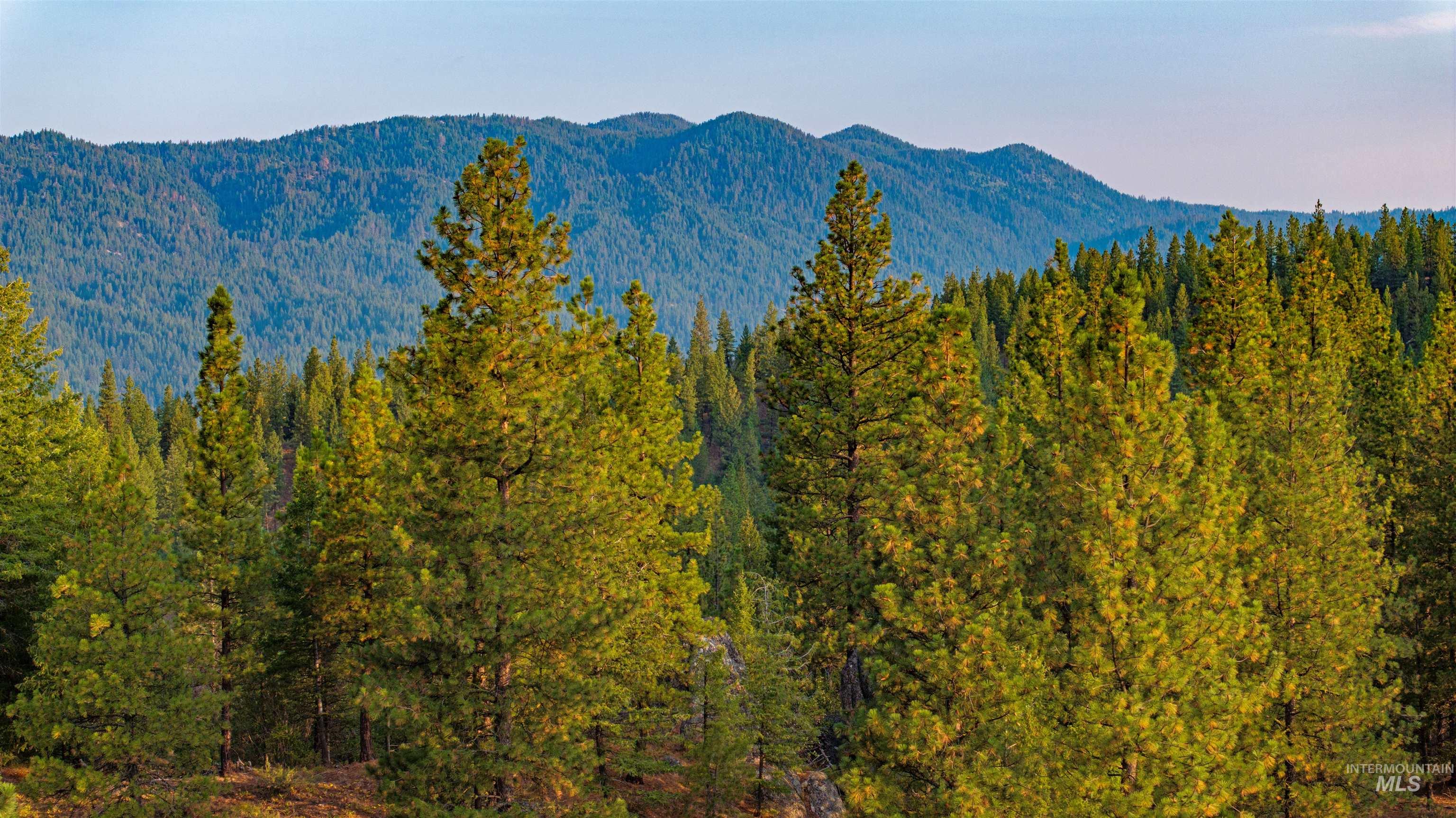 1 Warm Lake Road Cascade, ID 83611 - Photo 4 of 33