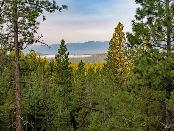 $22,500,000 | 1 Warm Lake Road, Cascade, ID 83611