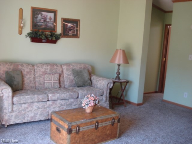 9640 Colton Road Windham, OH 44288 - Photo 4 of 18 Gallery Image 4