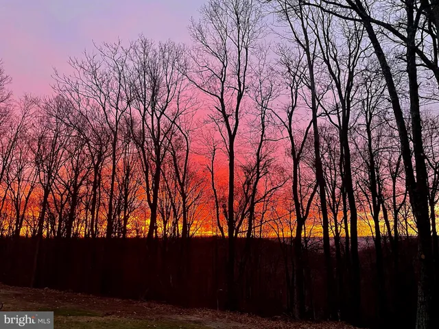 a view of outdoor space