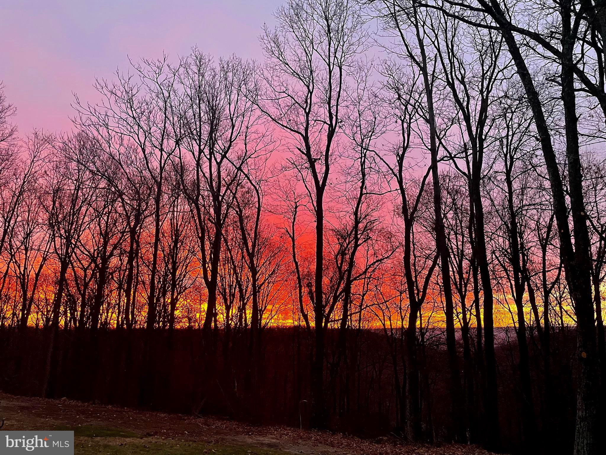 a view of outdoor space