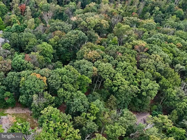 an aerial view of residential house with outdoor space and trees all around