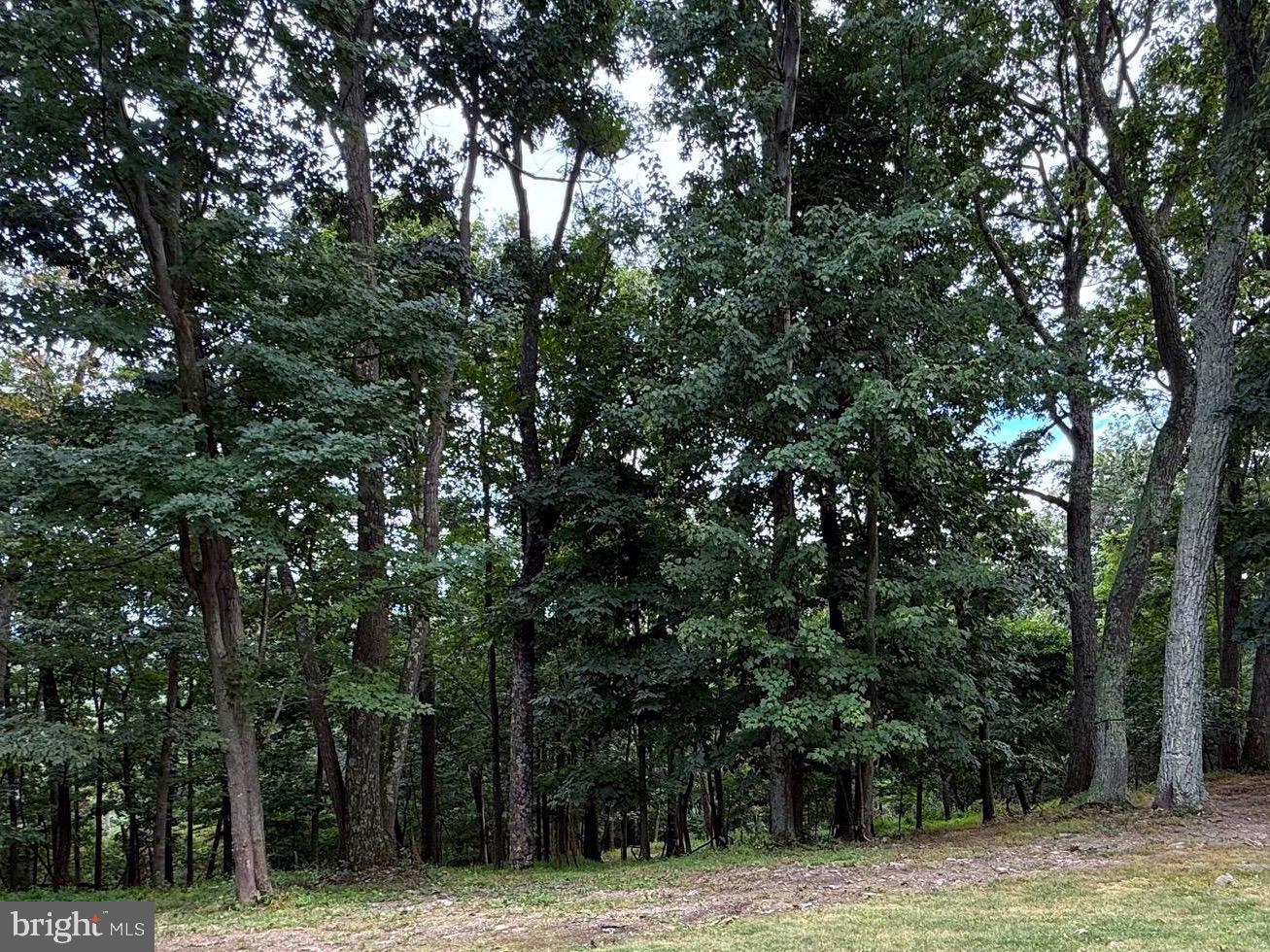 Fawn Run Hedgesville, WV 25427 - Photo 4 of 16 a view of outdoor space with trees