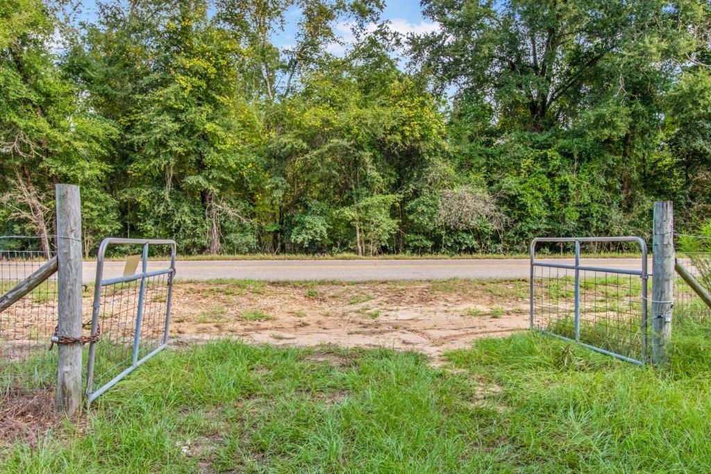 Undisclosed Address Gordon, AL 36343 - Photo 22 of 22