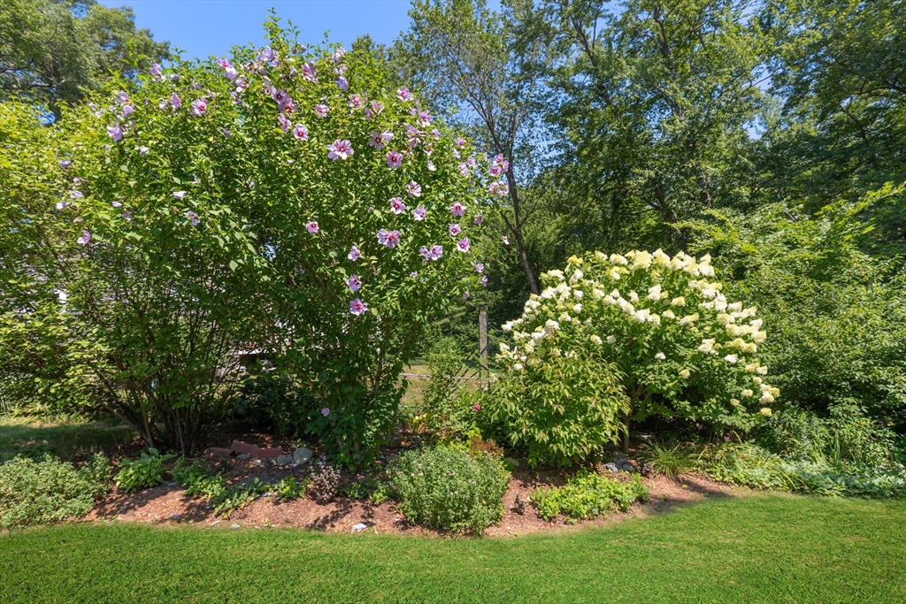 20 Brewster Road Hingham, MA 02043 - Photo 29 of 32 Gallery Image 29