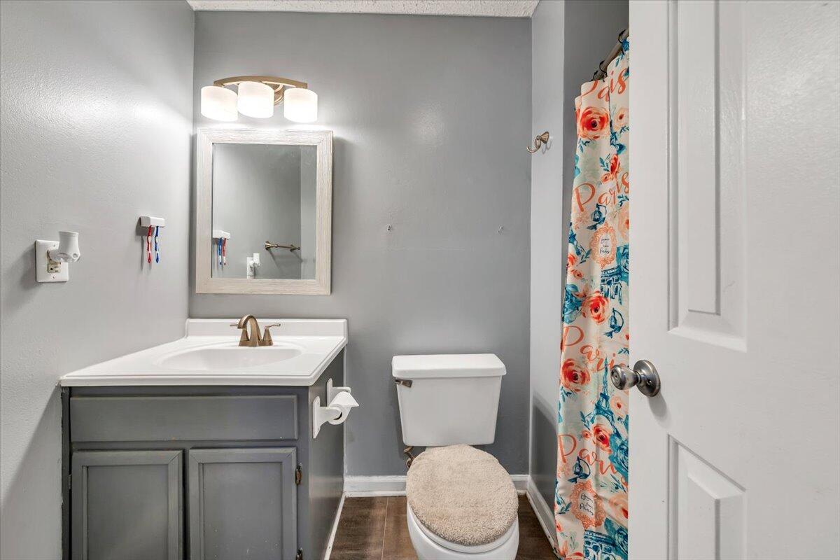 3870 Goose Dam Road Rocky Mount, VA 24151 - Photo 23 of 44 a bathroom with a sink vanity mirror and toilet