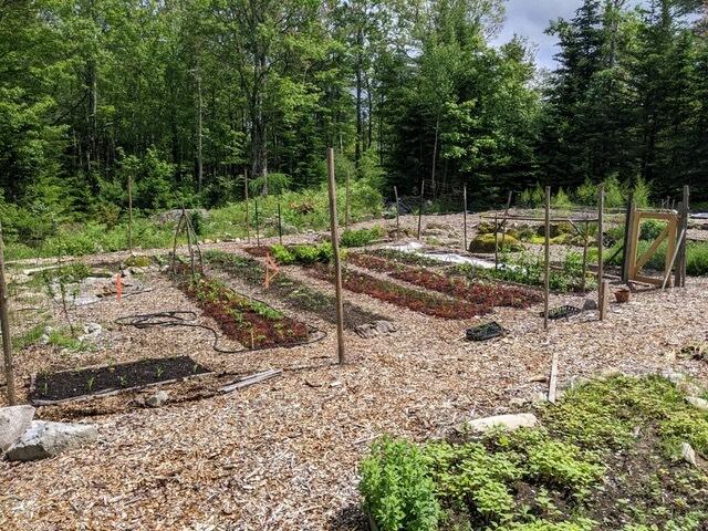 34 McCaslin Road Penobscot, ME 04476 - Photo 76 of 81 garden 2022