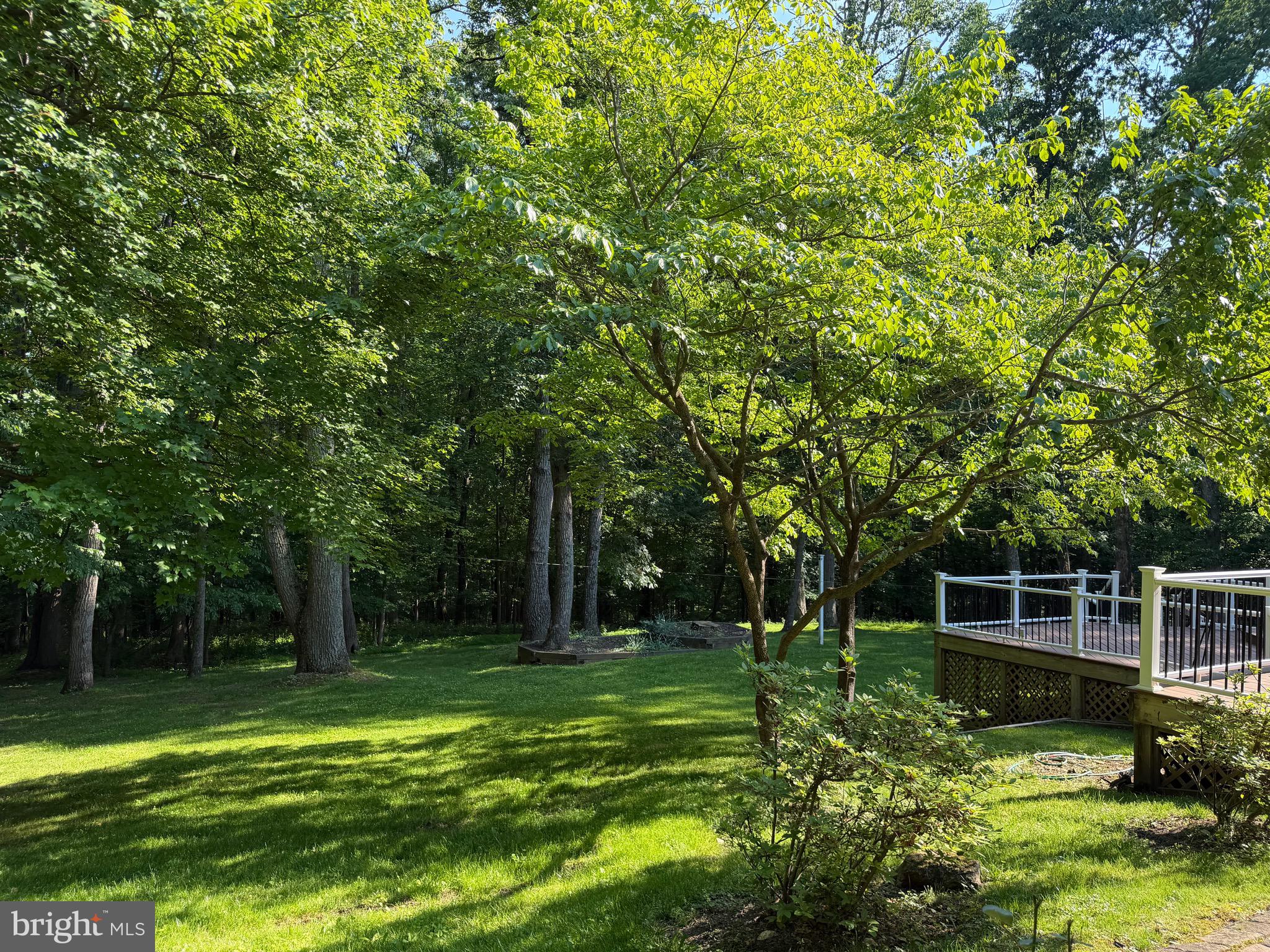 7530 Damascus Road Gaithersburg, MD 20882 - Photo 12 of 12 a view of a backyard with large trees