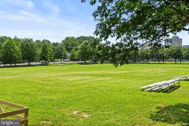 a view of a big yard with plants and large trees