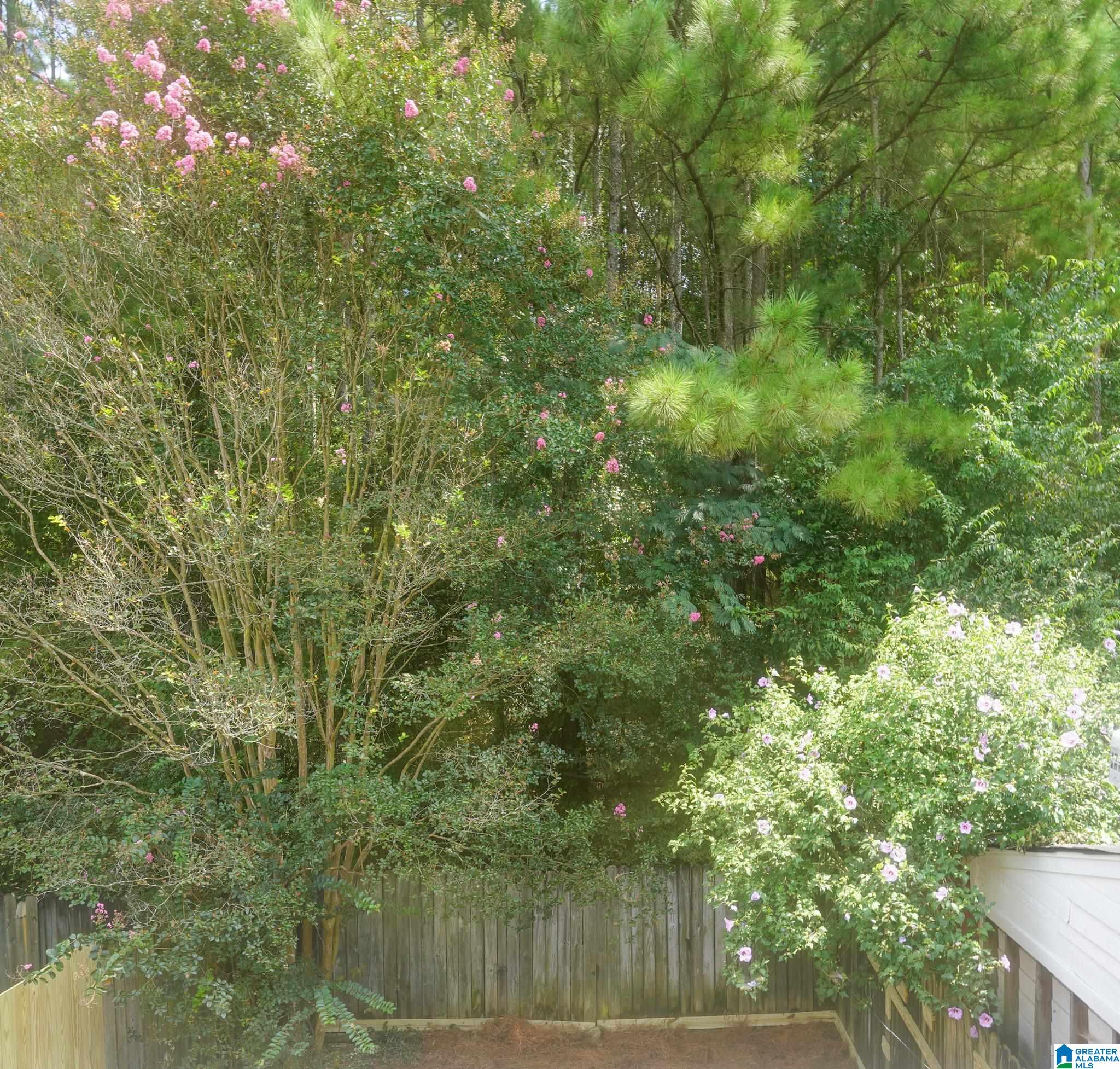 443 Cambrian Ridge Trail Pelham, AL 35124 - Photo 5 of 51