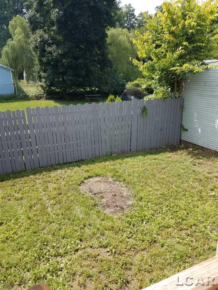 313 Merrick Street Adrian, MI 49221 - Photo 31 of 37 31354492-30.JPG