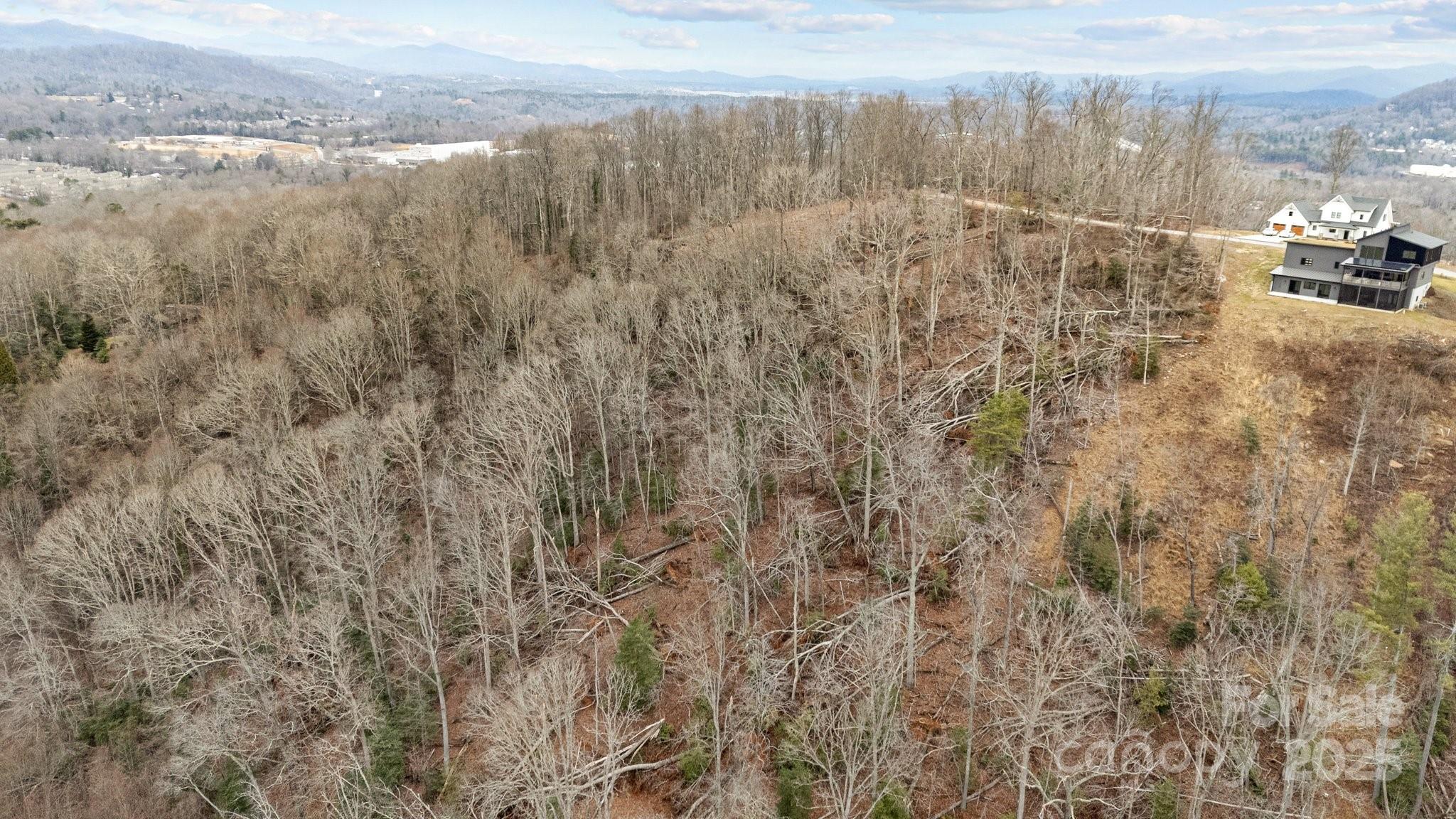 52 Arabella Lane Arden, NC 28704 - Photo 11 of 16