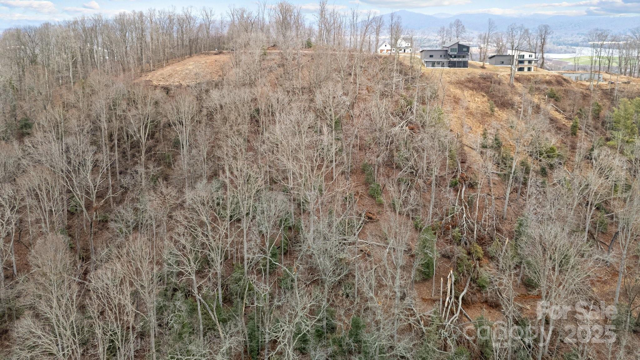 52 Arabella Lane Arden, NC 28704 - Photo 12 of 16