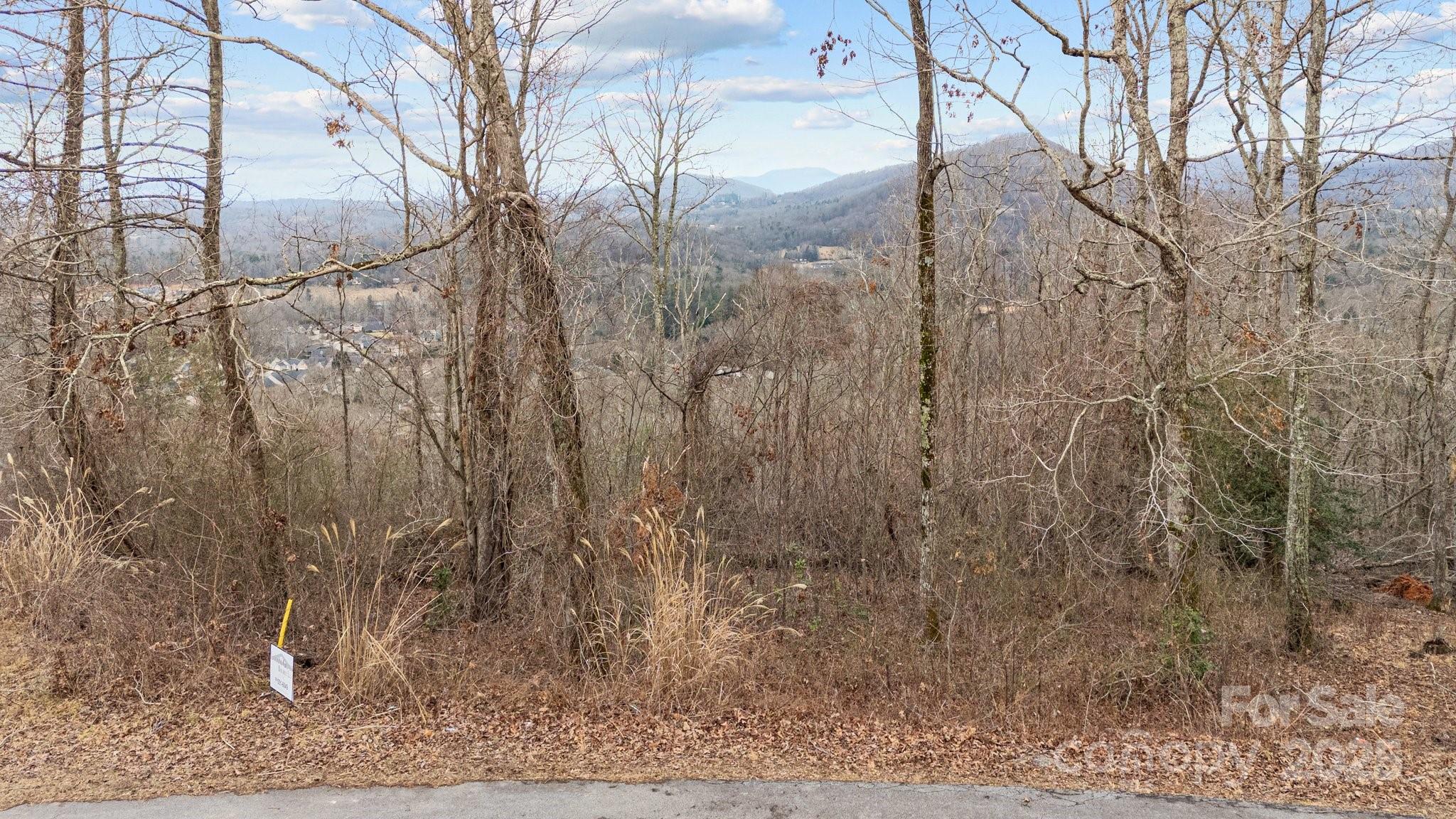52 Arabella Lane Arden, NC 28704 - Photo 14 of 16