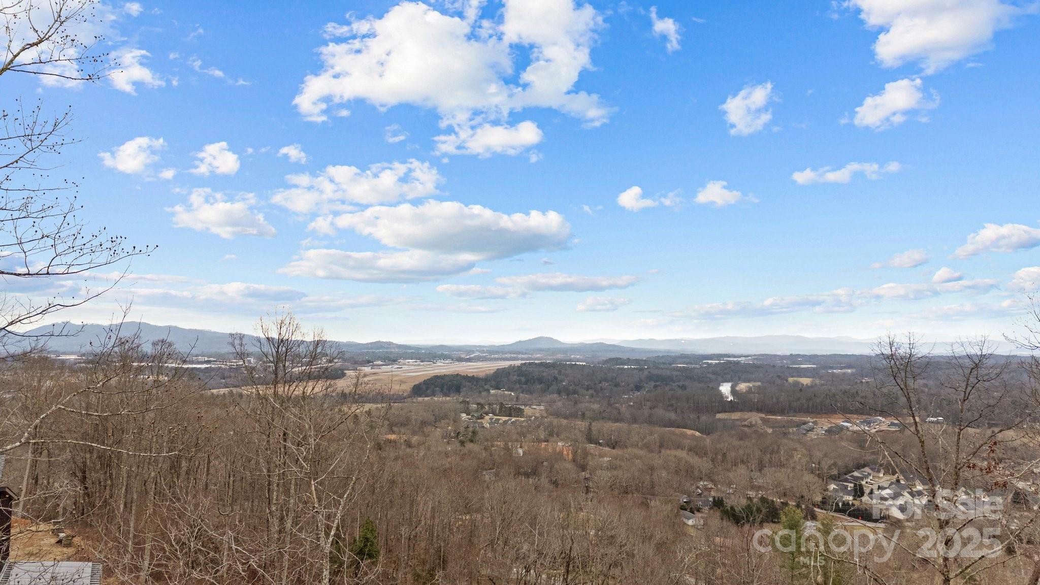 52 Arabella Lane Arden, NC 28704 - Photo 4 of 16