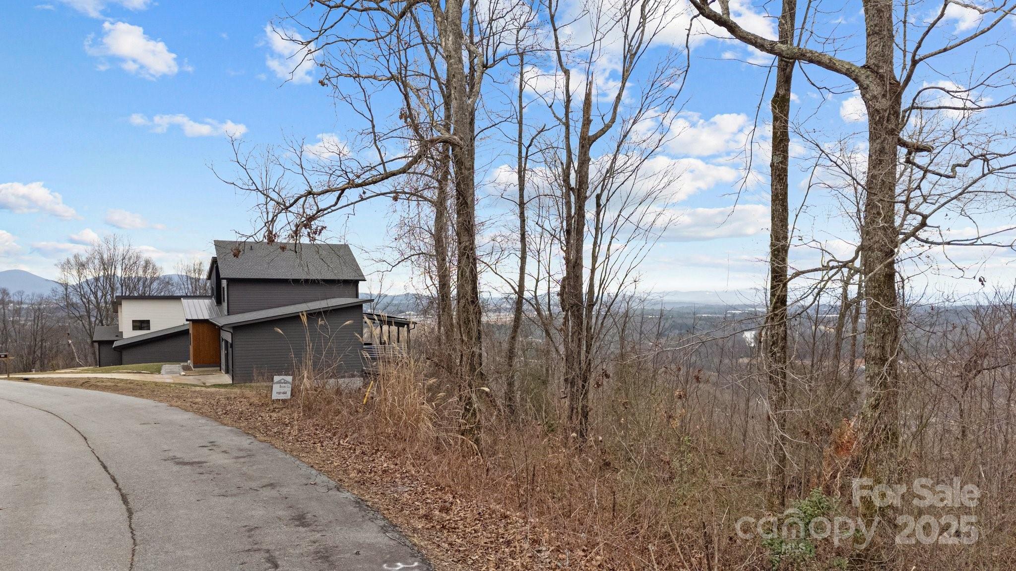 52 Arabella Lane Arden, NC 28704 - Photo 5 of 16