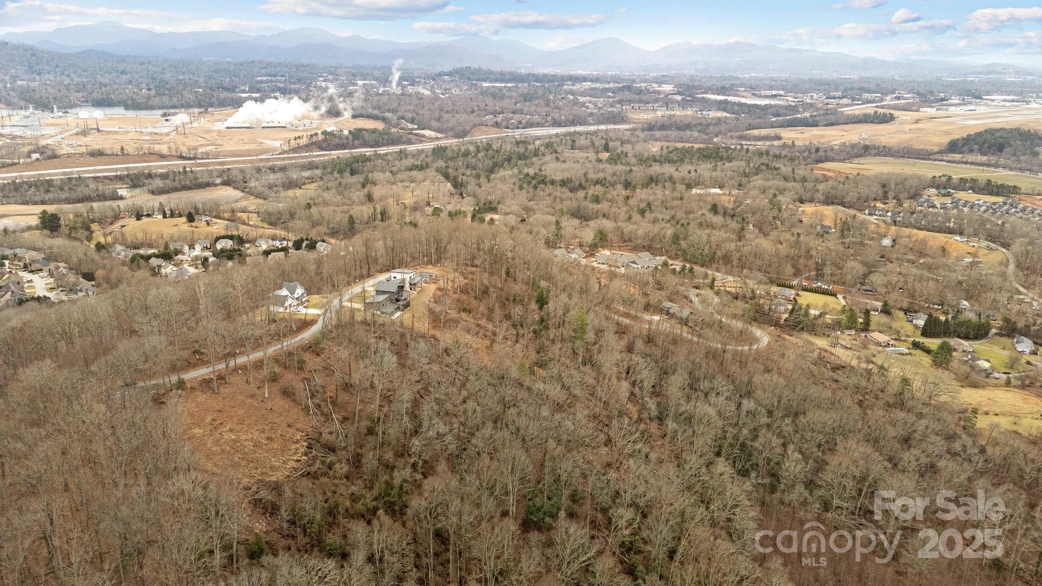 52 Arabella Lane Arden, NC 28704 - Photo 6 of 16