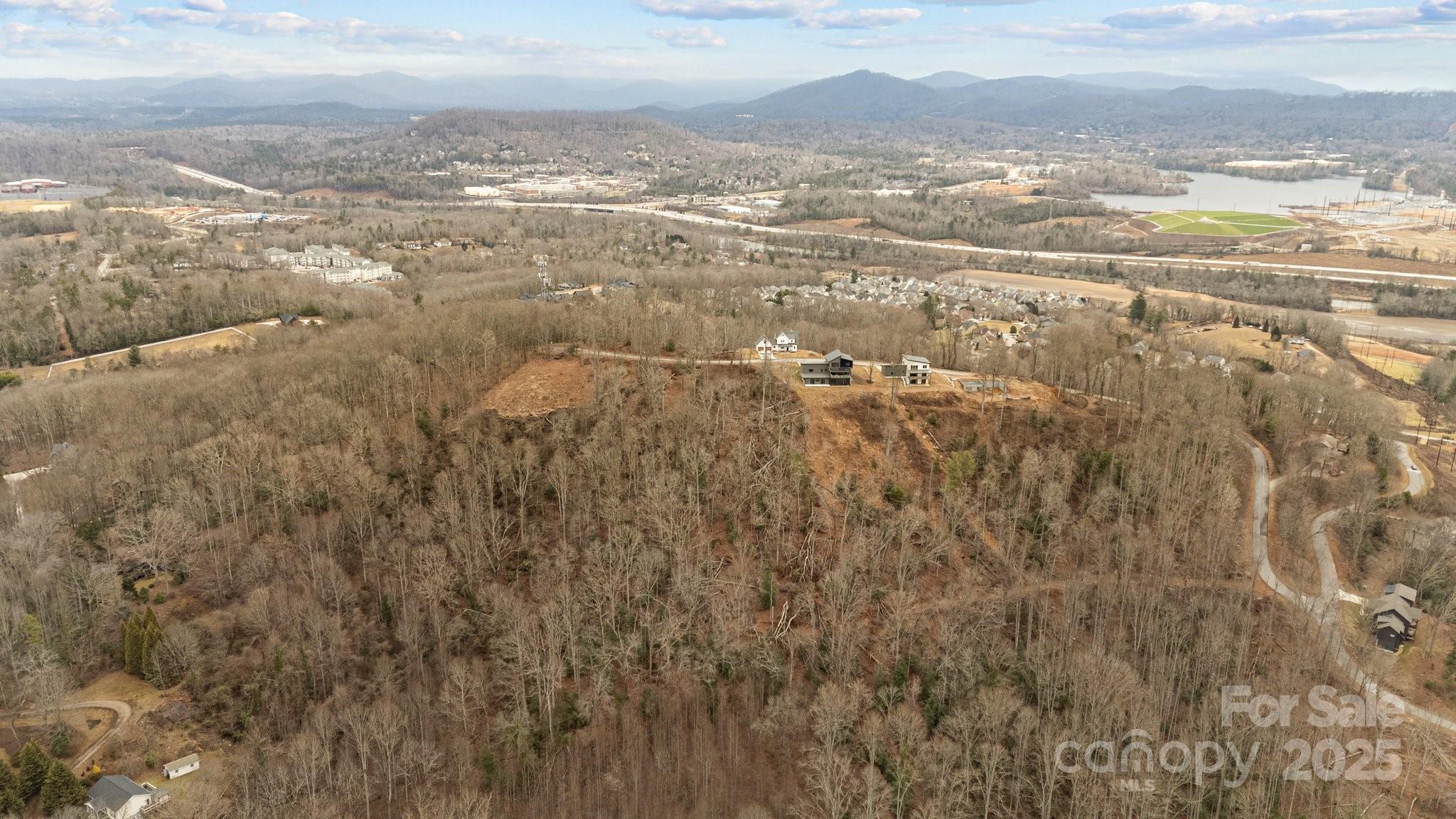 52 Arabella Lane Arden, NC 28704 - Photo 7 of 16