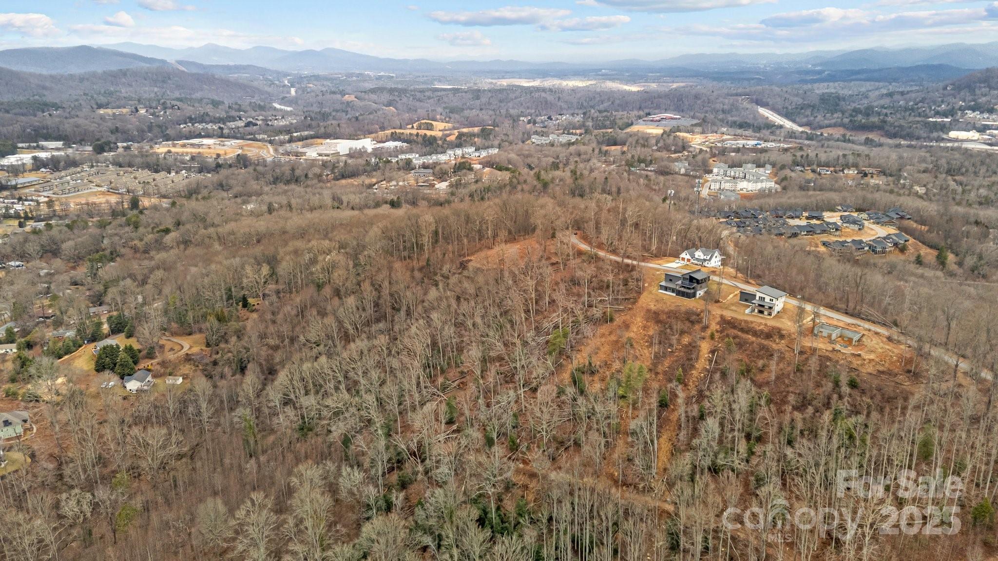 52 Arabella Lane Arden, NC 28704 - Photo 8 of 16