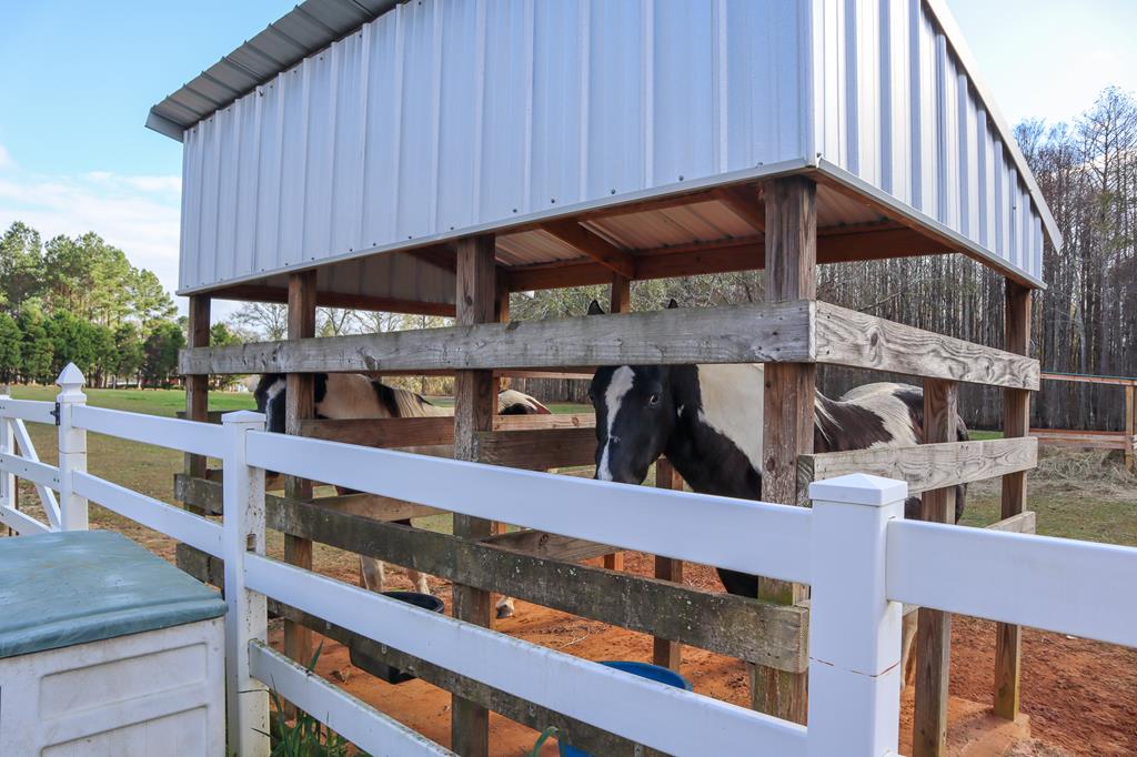 611 A J Register Road Dothan, AL 36301 - Photo 49 of 58