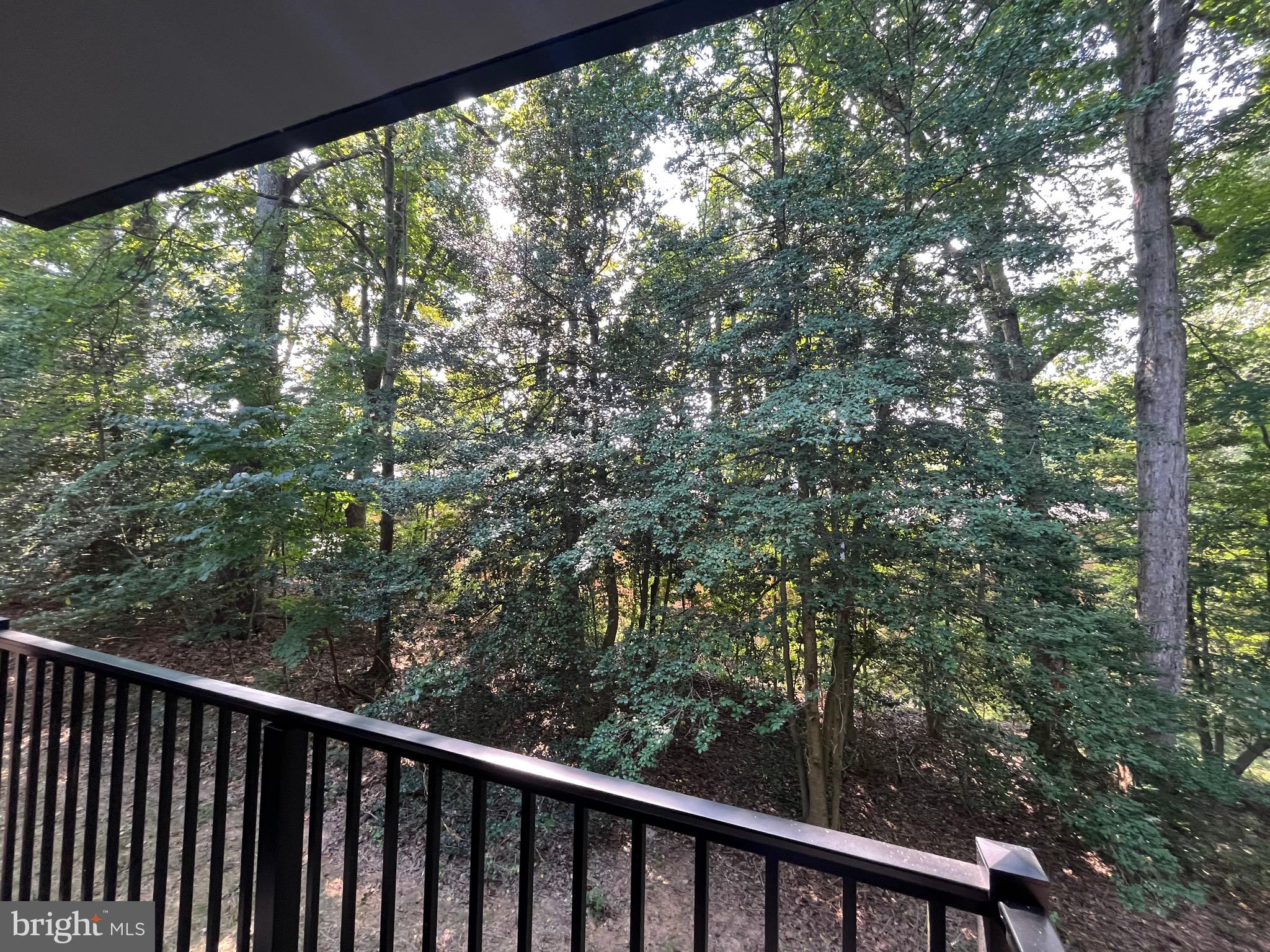 2216 Castle Rock Square, Unit 11C Reston, VA 20191 - Photo 8 of 20 View from the balcony