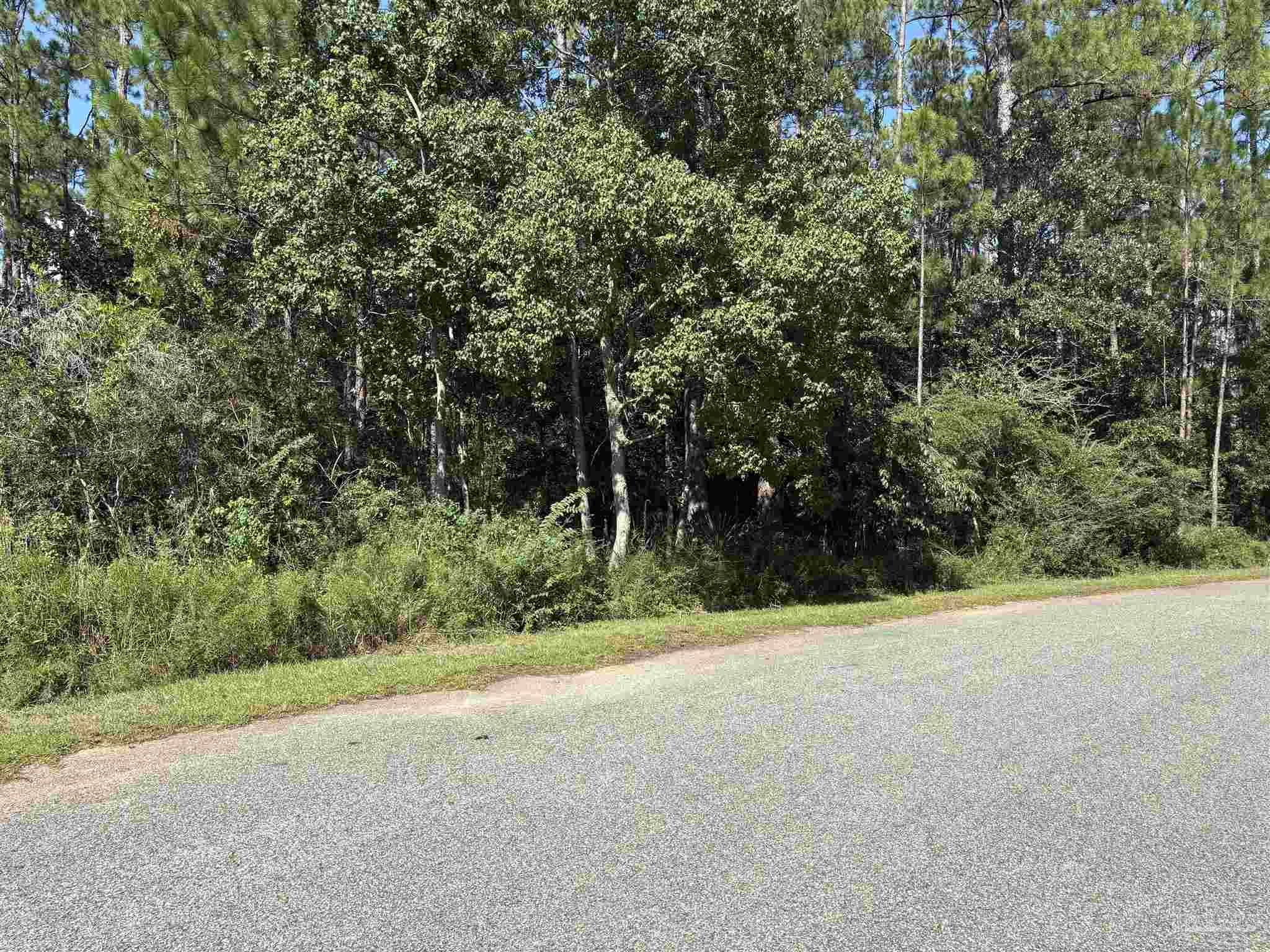 4568 Bayside Drive Milton, FL 32583 - Photo 13 of 13 a view of basketball court